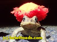 /home//u458753944/public_html/sourcegallery////////////////////////////Roxborough Toad Detour/2021/2021-04-11/P4110232.JPG